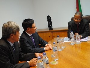 Vietnam, Mozambique enhance ties - ảnh 1